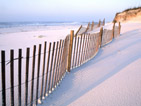Summer wallpapers42